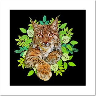 Bobcats wild cat freedom Posters and Art